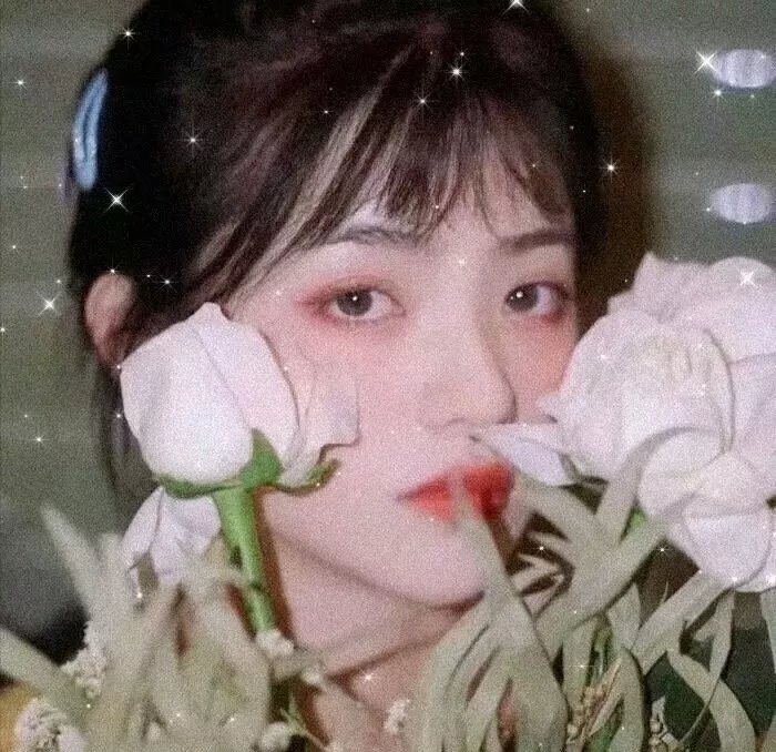 喵星少年漂流记