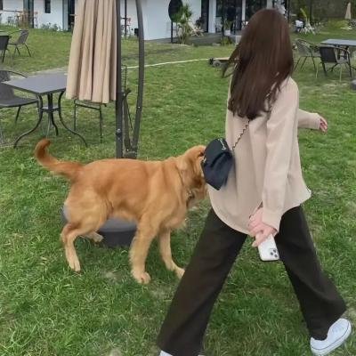 法网追凶第二季